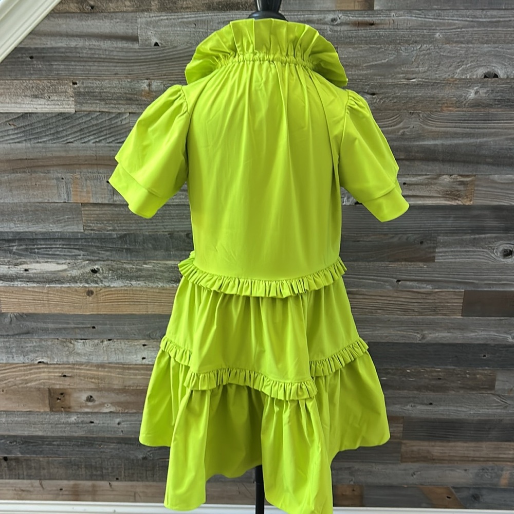 Alden Adair Hallie Ruffle Dress in Citrus Size Small NWT - Picture 9 of 12